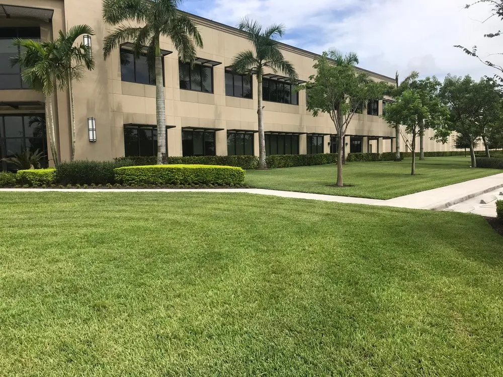 Reliable landscape installation in Loxahatchee Groves, FL by Palm Beach Tree & Landscape