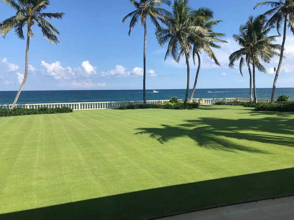 Professional yard cleanup service for outdoor upgrades across Loxahatchee Groves, FL - Palm Beach Tree & Landscape