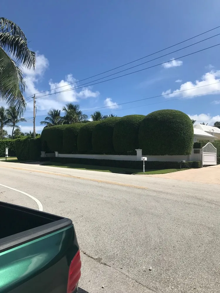 Reliable outdoor landscaping with custom design across Loxahatchee Groves, FL - Palm Beach Tree & Landscape