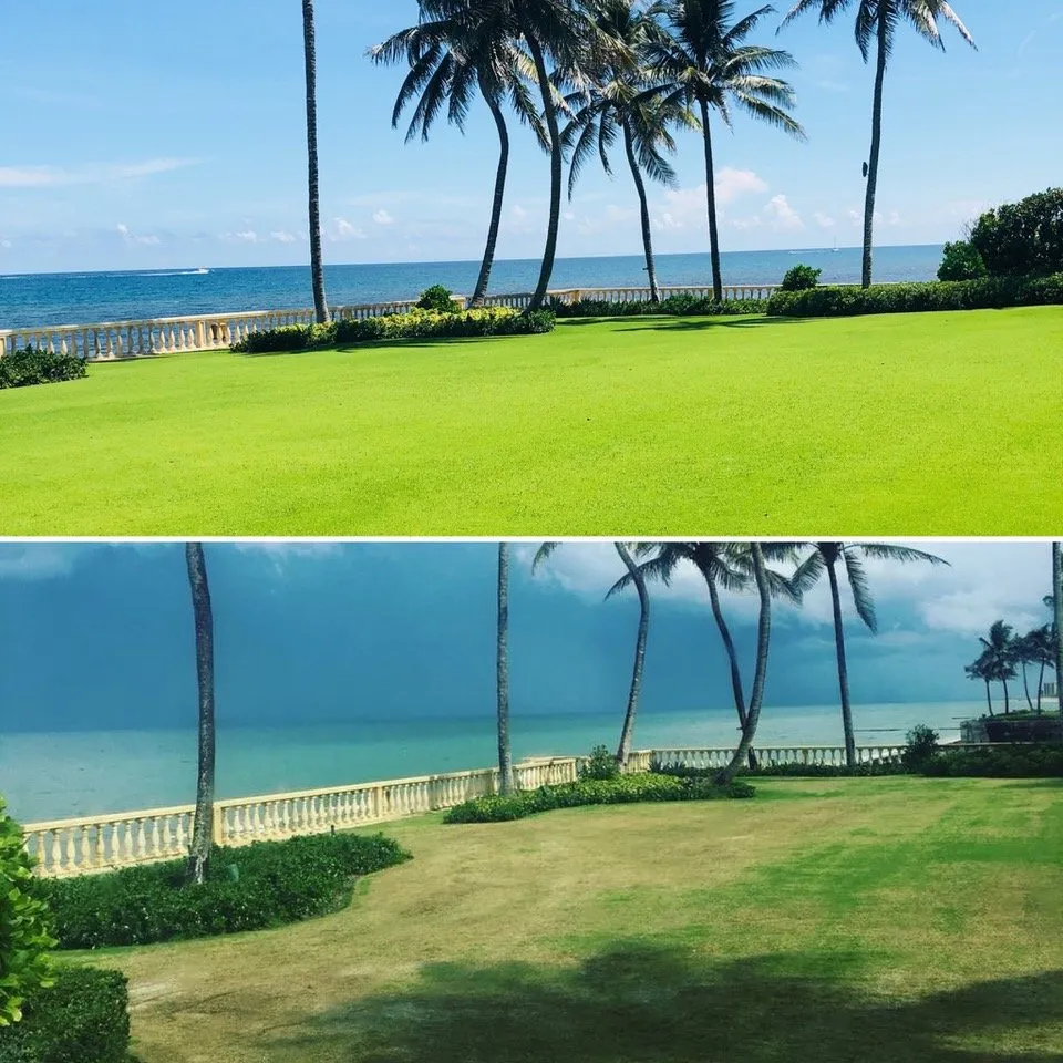 Top-rated yard cleanup service for beautiful yards in Loxahatchee Groves, FL by Palm Beach Tree & Landscape