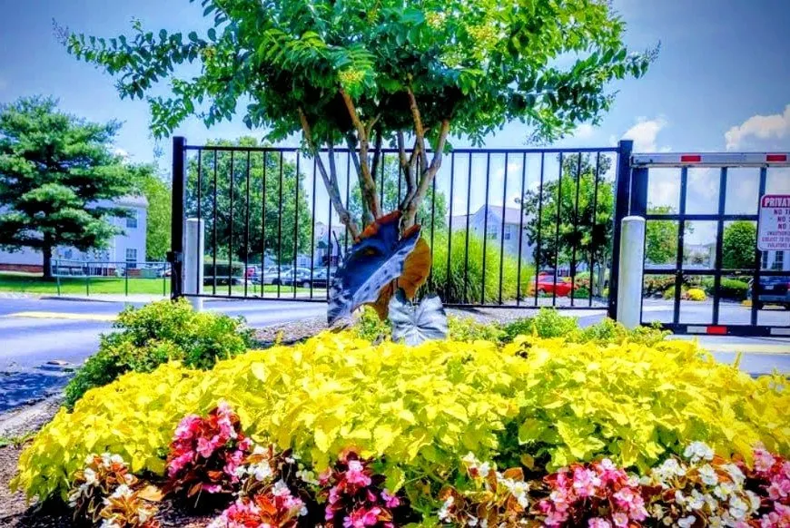 Affordable yard maintenance experts serving Goodlettsville, TN - Palm Branch Landcare