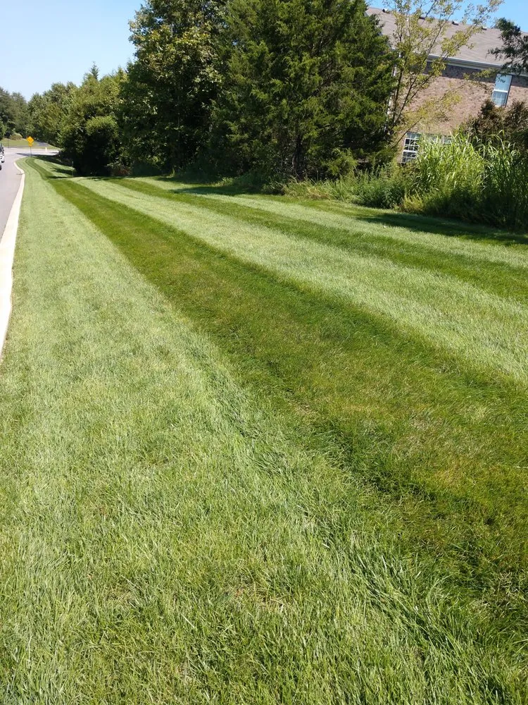 Trusted yard maintenance with custom design in Goodlettsville, TN by Palm Branch Landcare