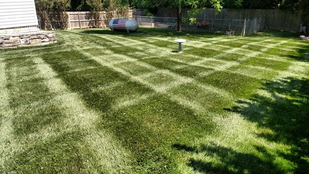 Expert landscape installation for outdoor upgrades across Goodlettsville, TN - Palm Branch Landcare