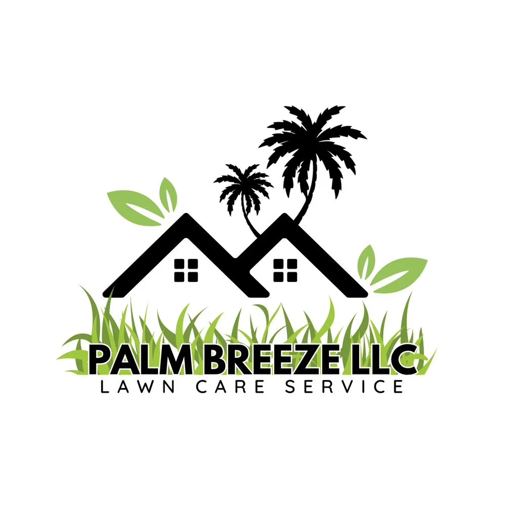 Local yard cleanup service experts serving Port Richey, FL - Palm Breeze