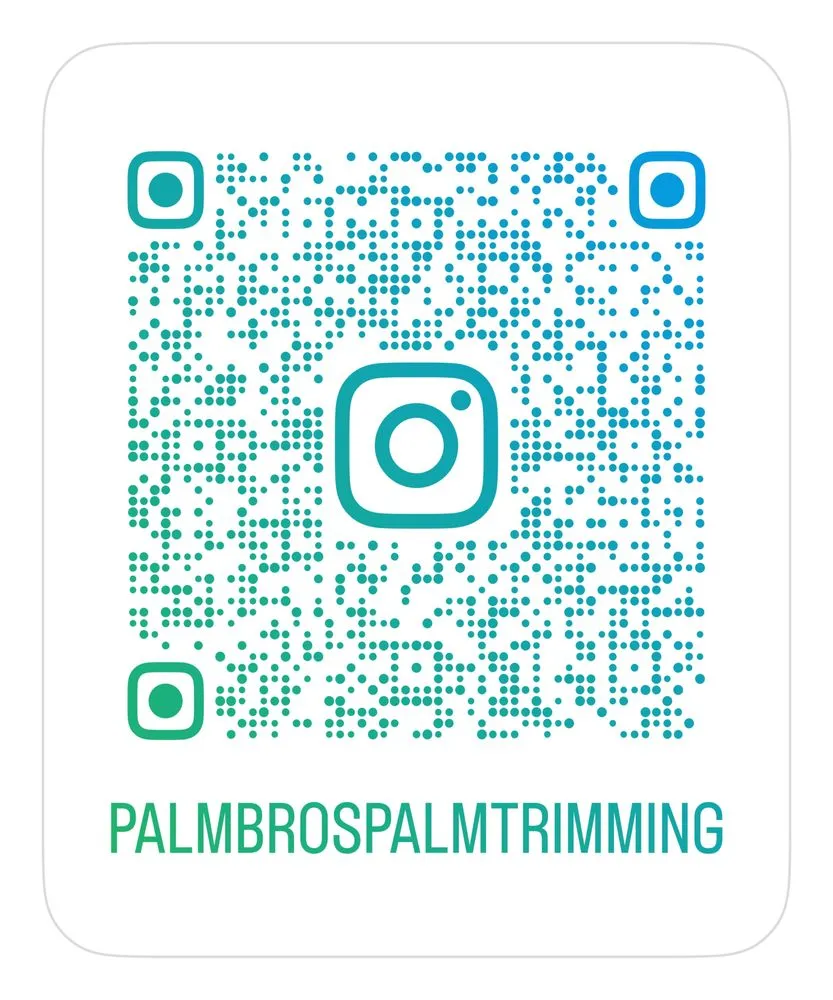 Professional landscape installation with custom design in Newport, NC by Palm Brothers