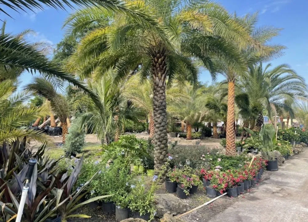 Top-rated landscaping services for residential properties across Panama City, FL - Palm Brothers