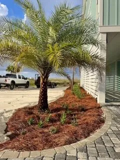 Trusted outdoor landscaping experts serving Panama City, FL - Palm Brothers