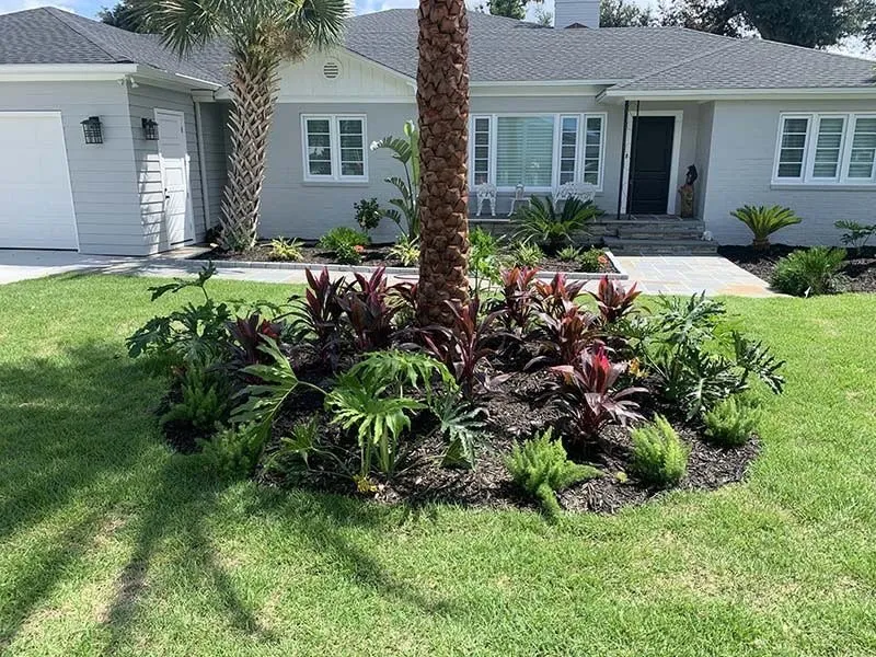 Professional landscape installation experts serving Panama City, FL - Palm Brothers