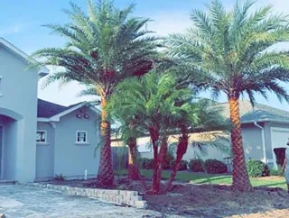 Expert yard maintenance near you across Panama City, FL - Palm Brothers