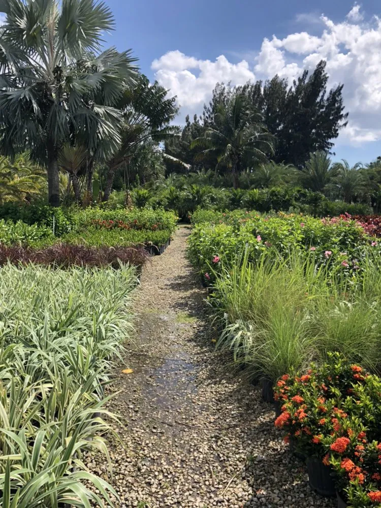 Top-rated garden landscaping in Cape Coral, FL by Palm City Nursery & Landscaping