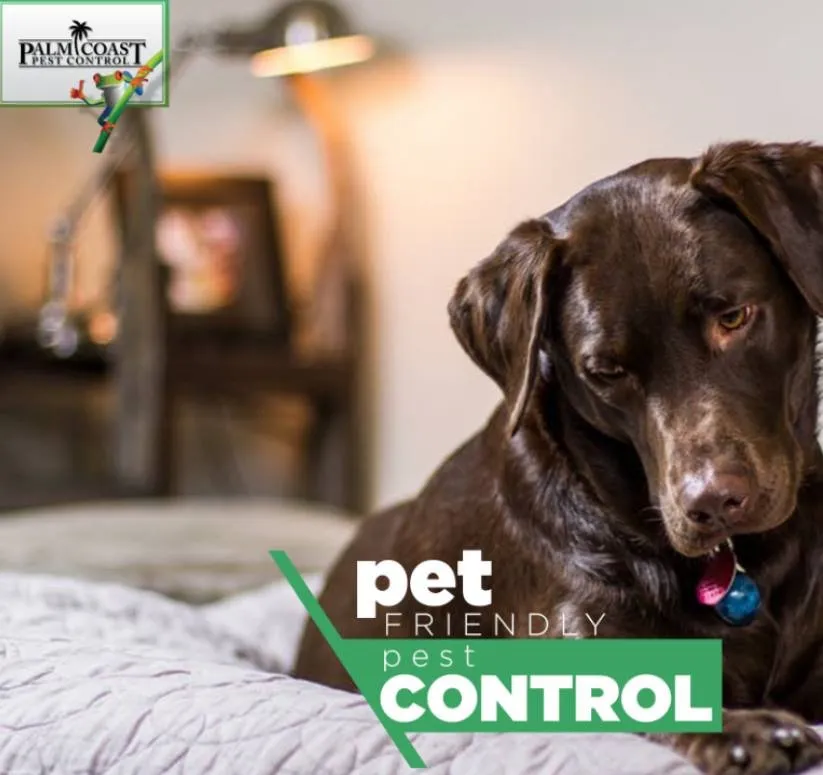 Local landscape design in Jupiter, FL by Palm Coast Pest Control