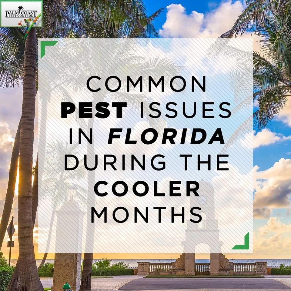 Local landscape design in Jupiter, FL by Palm Coast Pest Control