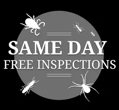 Expert residential landscaping experts serving Jupiter, FL - Palm Coast Pest Control