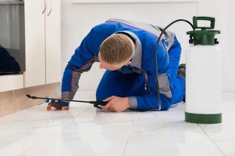 Local yard cleanup service for year-round maintenance in Jupiter, FL by Palm Coast Pest Control