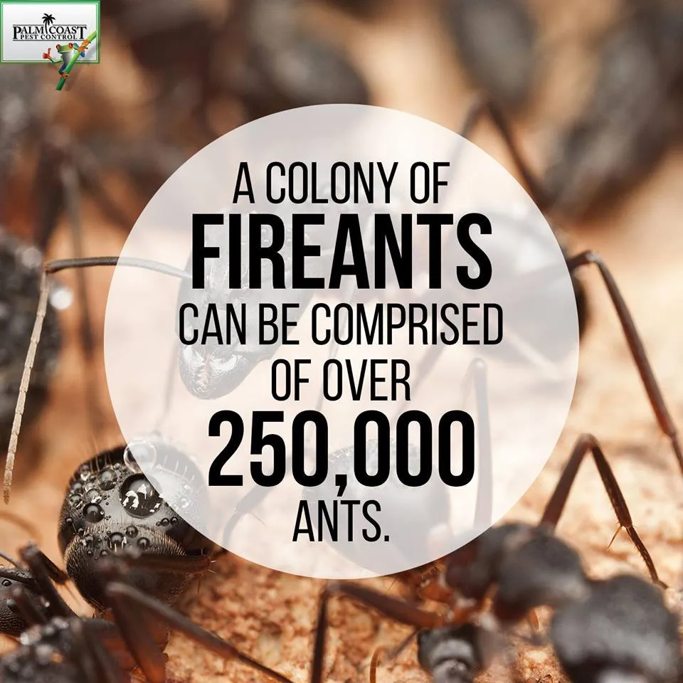 Top-rated lawn care service in Jupiter, FL by Palm Coast Pest Control