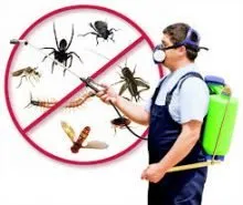 Trusted yard maintenance experts serving Jupiter, FL - Palm Coast Pest Control
