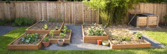 Trusted lawn care service in Palm Desert, CA - Palm Desert Landscaping Service