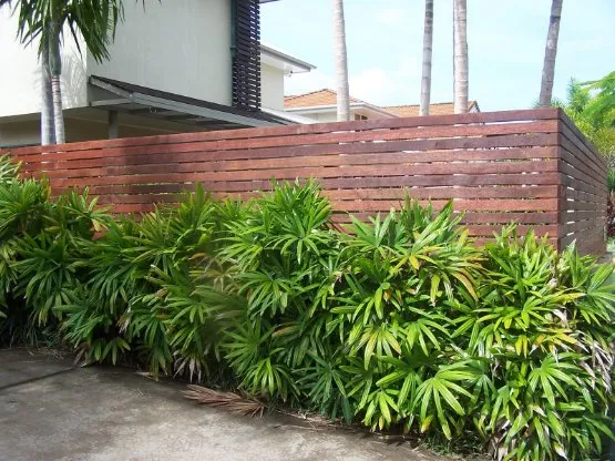 Professional lawn mowing service in Palm Desert, CA by Palm Desert Landscaping Service