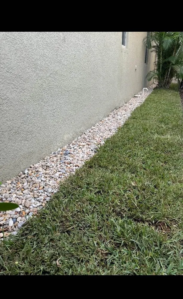 Expert yard maintenance in Sarasota, FL by Palm Dogs Landscaping