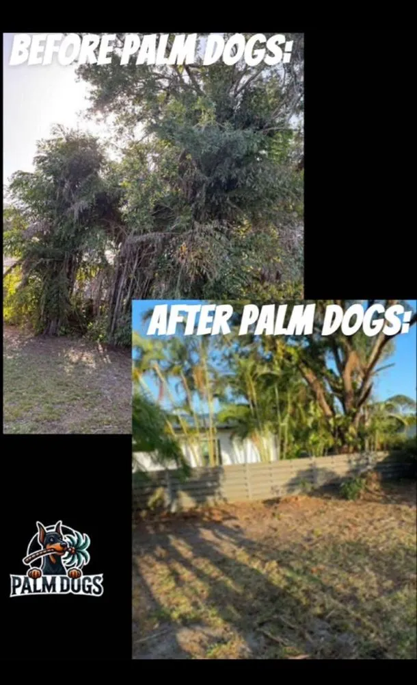 Reliable lawn mowing service experts serving Sarasota, FL - Palm Dogs Landscaping