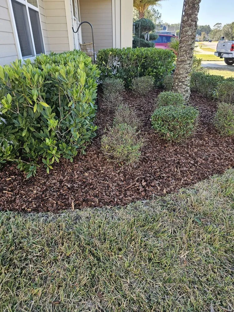 Reliable yard cleanup service experts serving St. Augustine, FL - Palm Envy