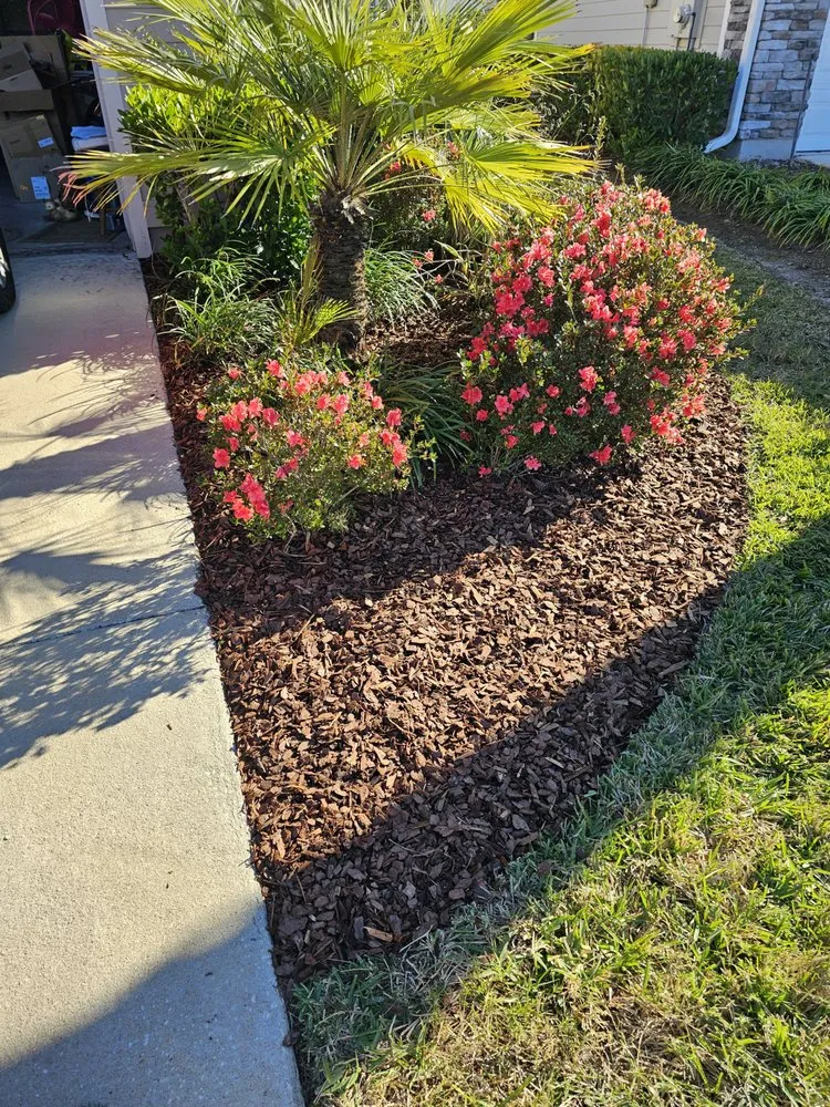 Local landscape design in St. Augustine, FL - Palm Envy