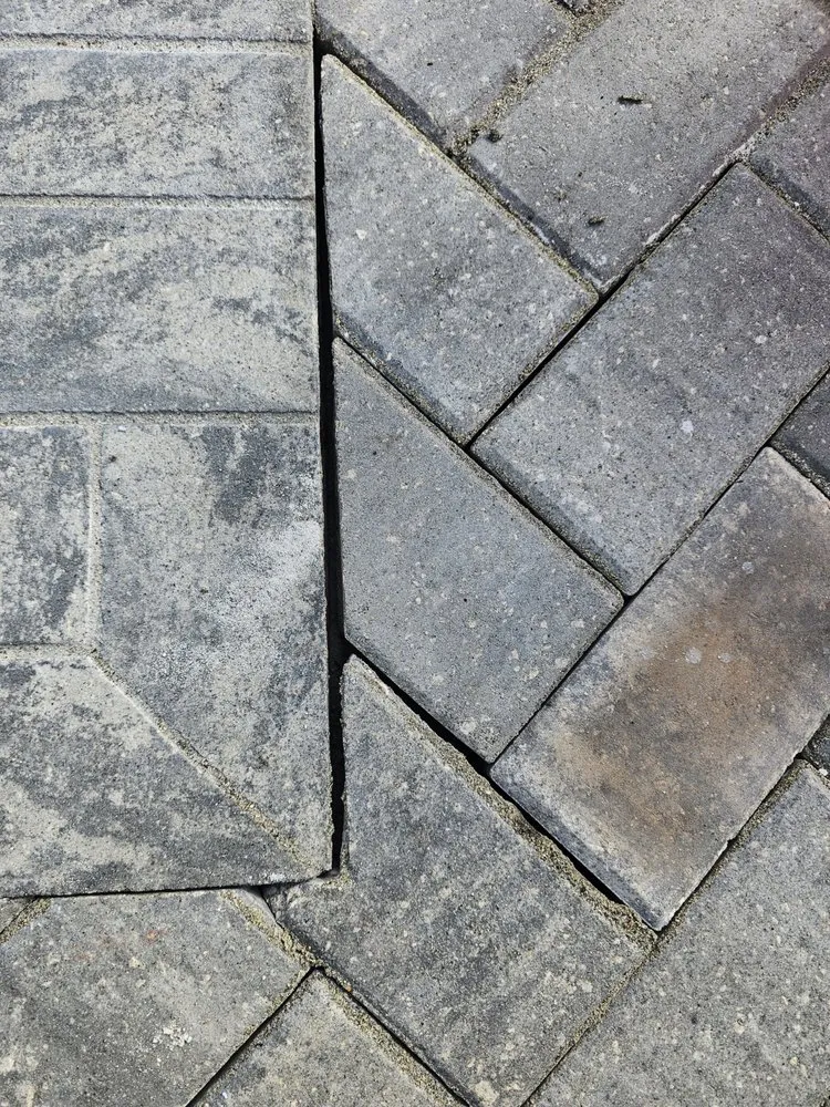 Affordable lawn care service in St. Augustine, FL - Palm Envy