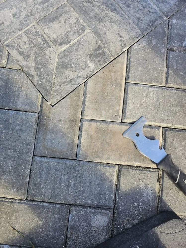 Custom yard cleanup service for beautiful yards in St. Augustine, FL by Palm Envy