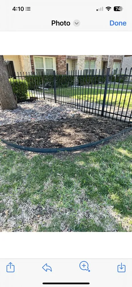 Local outdoor landscaping experts serving Dallas, TX - Palm Gardens