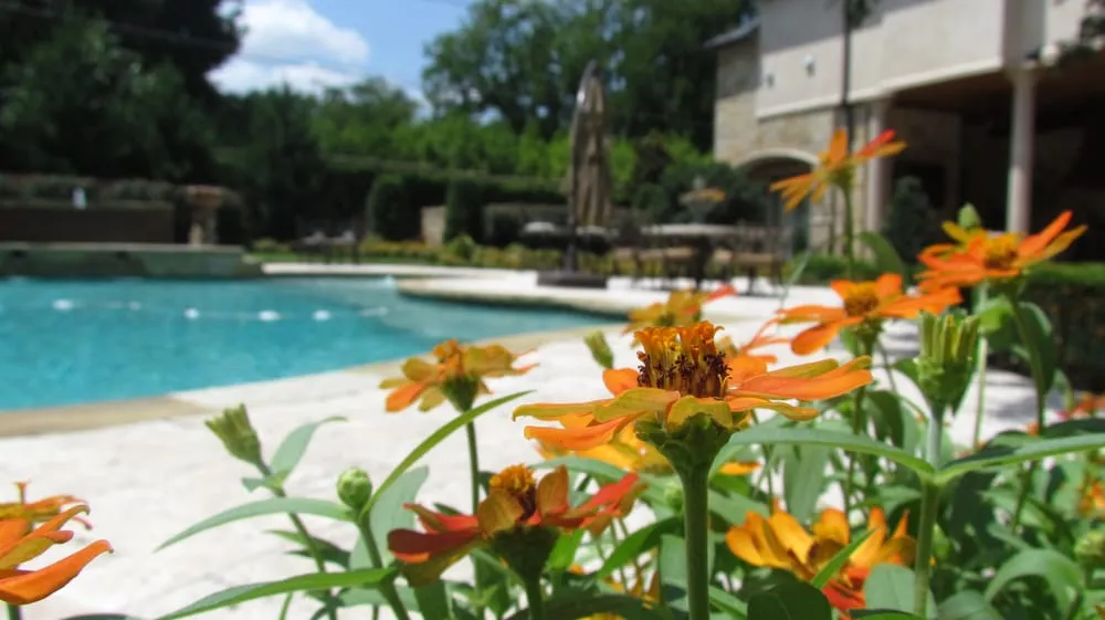 Local landscape installation near you across Dallas, TX - Palm Gardens