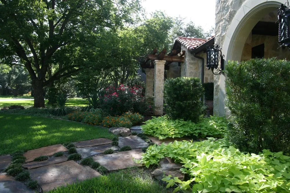 Top-rated landscape installation for residential properties across Dallas, TX - Palm Gardens