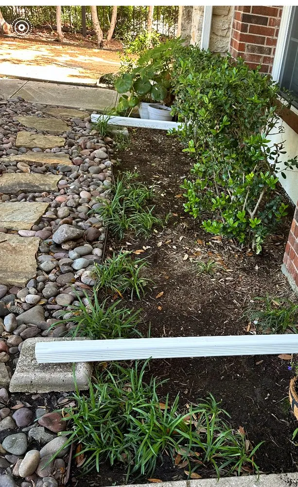 Reliable lawn mowing service in Dallas, TX by Palm Gardens