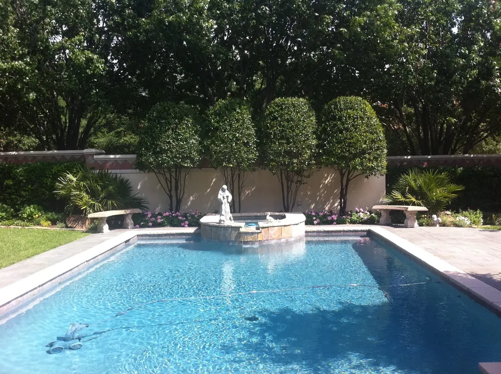 Expert lawn care service experts serving Dallas, TX - Palm Gardens