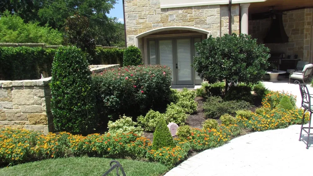 Reliable landscaping services in Dallas, TX - Palm Gardens