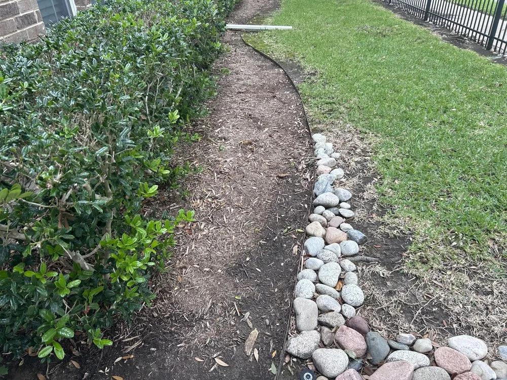 Reliable lawn mowing service near you across Dallas, TX - Palm Gardens