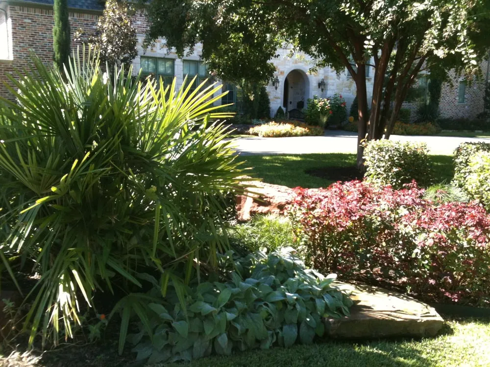 Local lawn mowing service in Dallas, TX by Palm Gardens