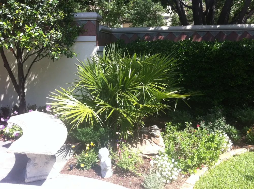 Reliable landscaping services in Dallas, TX by Palm Gardens