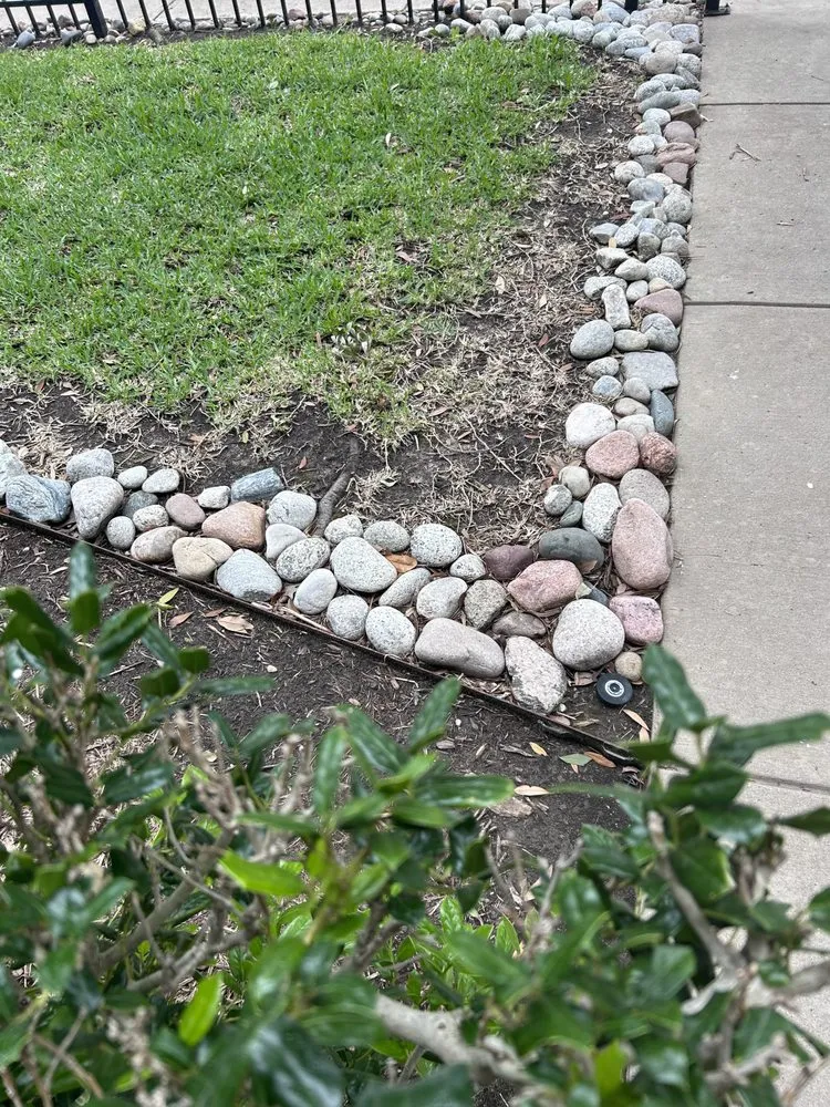 Custom residential landscaping for year-round maintenance in Dallas, TX by Palm Gardens