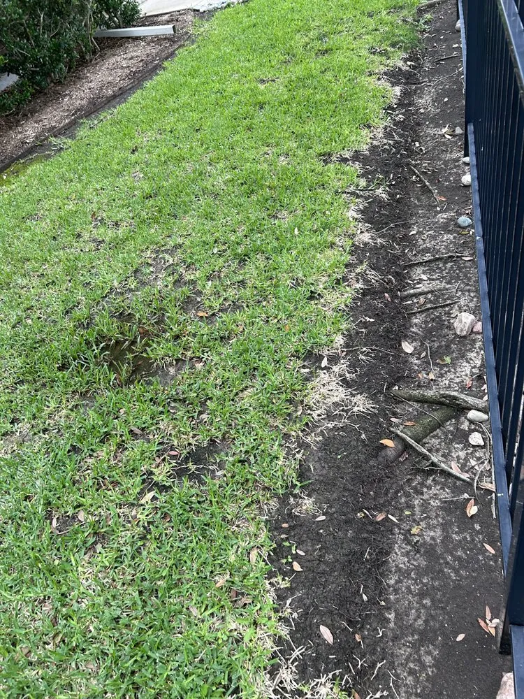 Top-rated residential landscaping for year-round maintenance in Dallas, TX by Palm Gardens