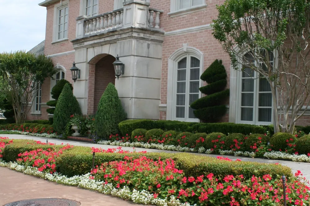 Expert landscape installation in Dallas, TX - Palm Gardens