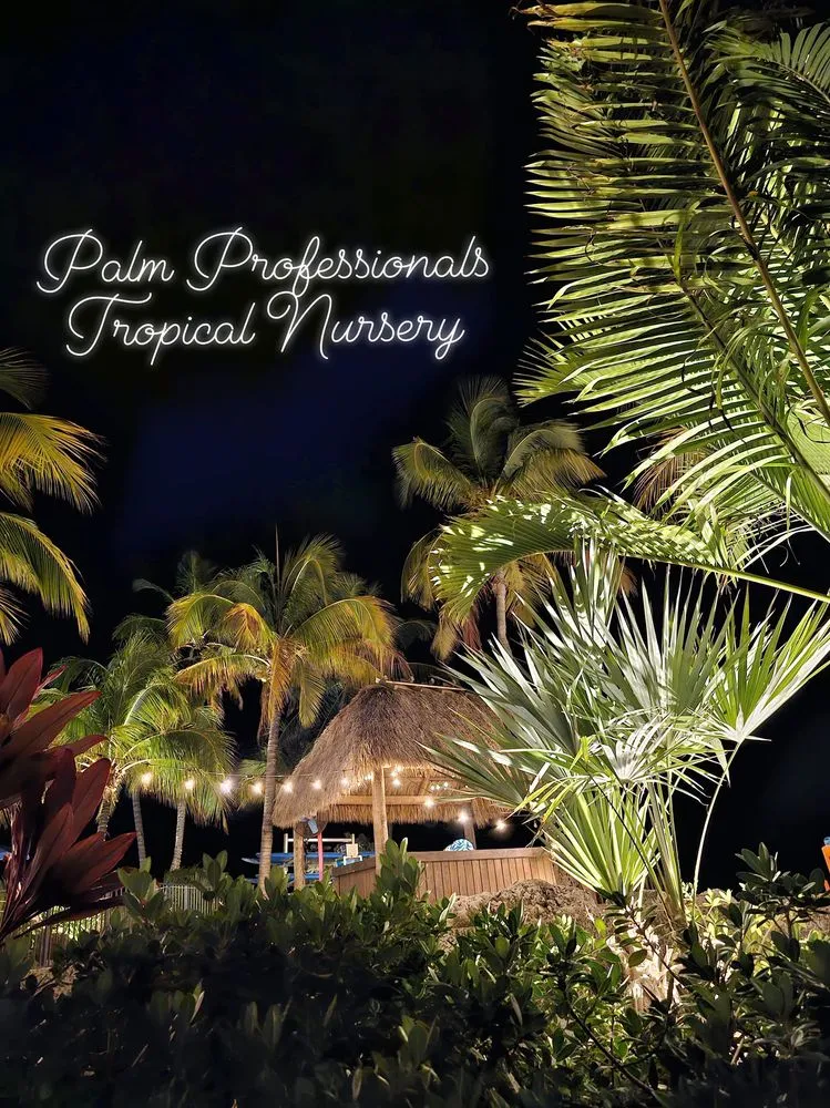 Trusted yard cleanup service experts serving Sugar Land, TX - Palm Professionals Tropical Nursery