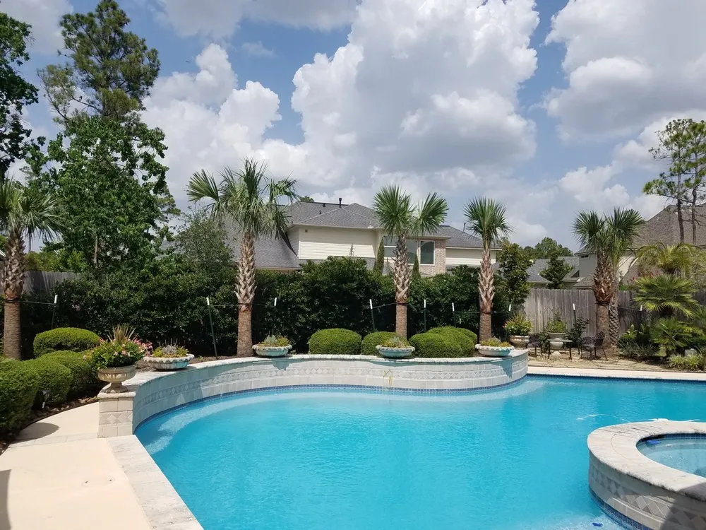 Trusted lawn care service for year-round maintenance across Sugar Land, TX - Palm Professionals Tropical Nursery