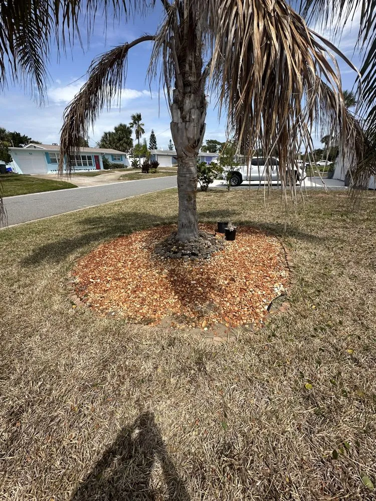 Affordable yard cleanup service with custom design across Ormond Beach, FL - Palm Pros