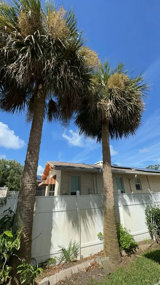 Custom residential landscaping experts serving Ormond Beach, FL - Palm Pros