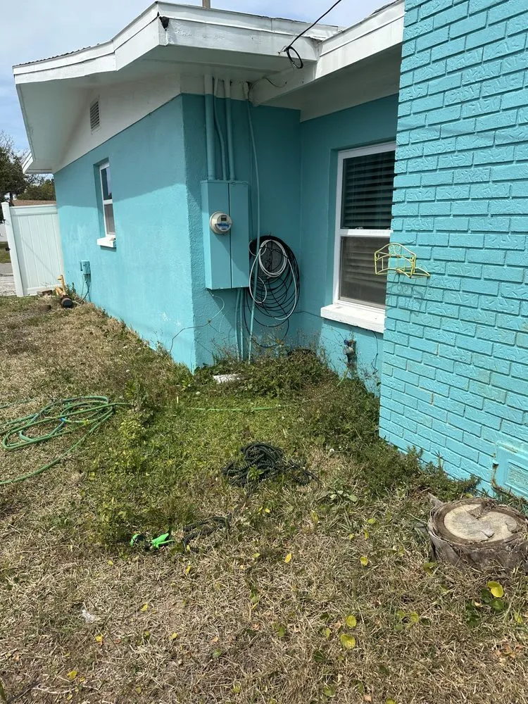 Affordable garden landscaping for year-round maintenance in Ormond Beach, FL by Palm Pros