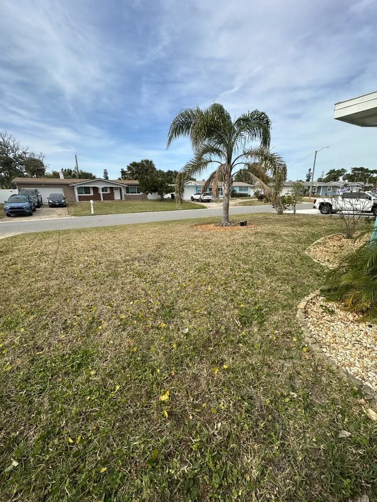 Expert residential landscaping for residential properties in Ormond Beach, FL by Palm Pros