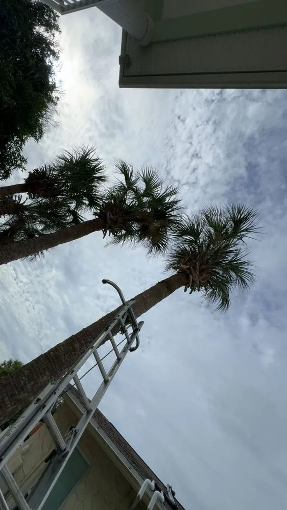 Expert landscape design in Ormond Beach, FL - Palm Pros