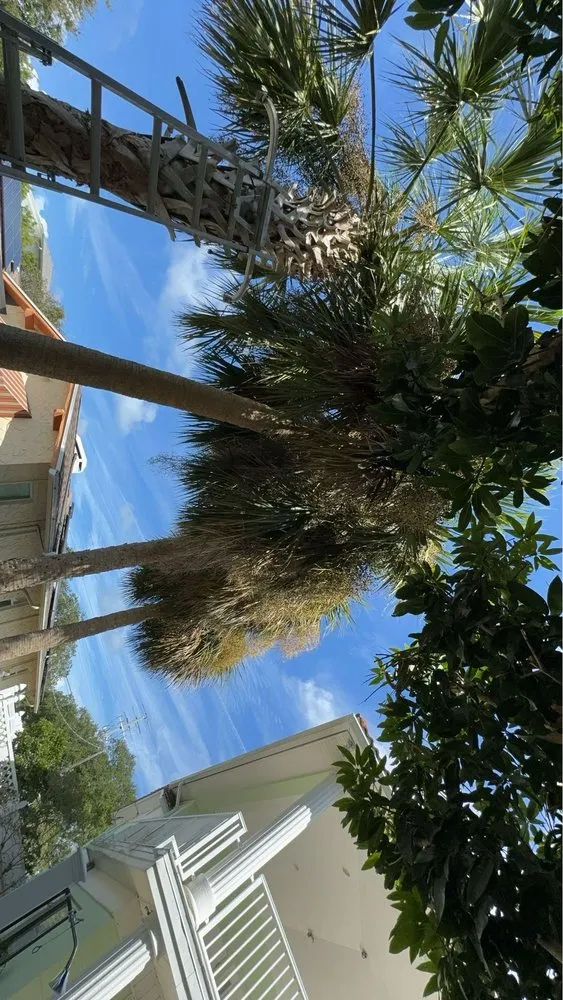 Reliable lawn care service in Ormond Beach, FL - Palm Pros