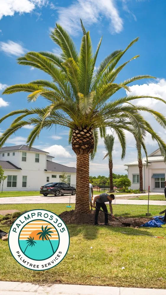 Top-rated yard maintenance in Miami Beach, FL by Palm Pros305
