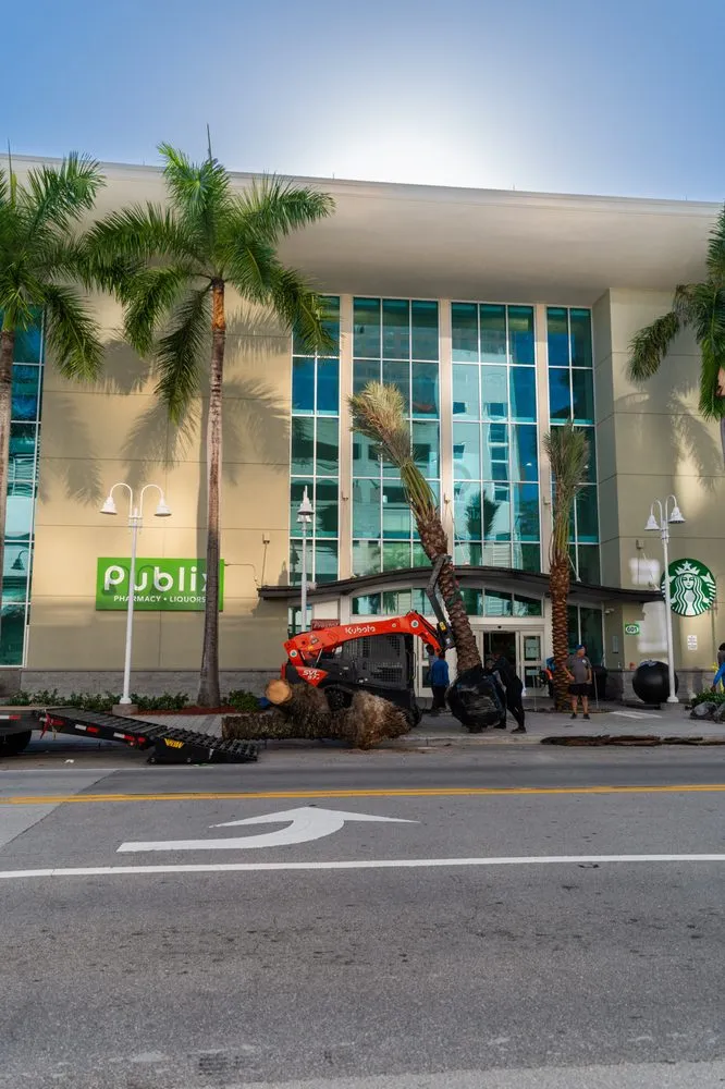 Local yard cleanup service for beautiful yards across Miami Beach, FL - Palm Pros305